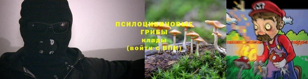 дурь Волосово