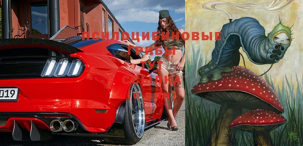 МДПВ Верхний Тагил