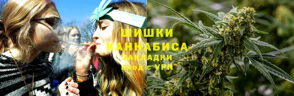 spice Верея