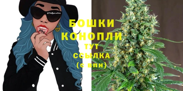 spice Верея