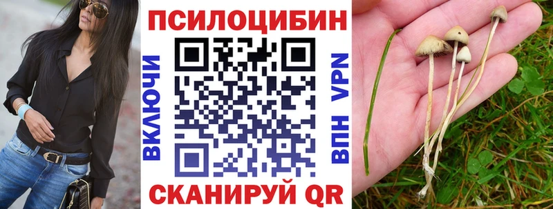 Псилоцибиновые грибы MAGIC MUSHROOMS  дарнет шоп  Волосово 